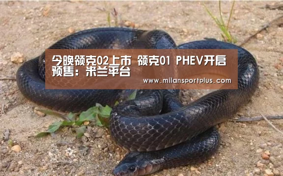 今晚领克02上市 领克01 PHEV开启预售:米兰平台(图3) 米兰导航