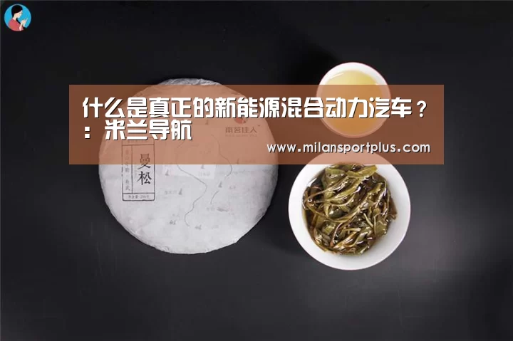 什么是真正的新能源混合动力汽车?:米兰导航(图1) 米兰赛事