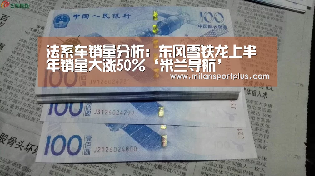 法系车销量分析:东风雪铁龙上半年销量大涨50%‘米兰导航’(图3) 米兰赛事