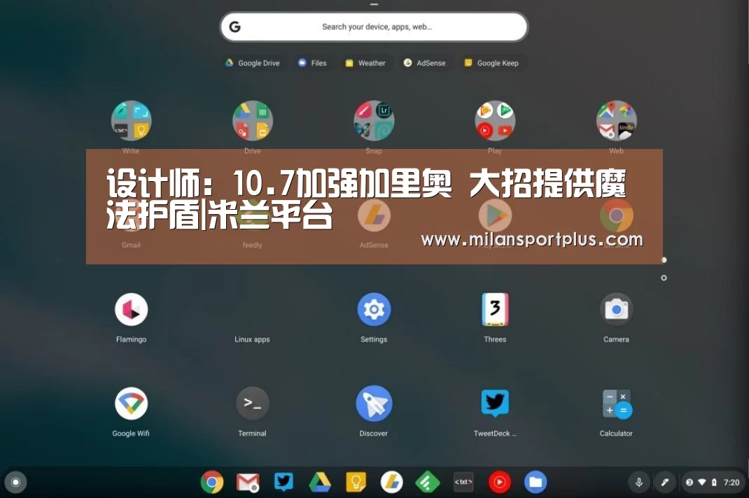 设计师:10.7加强加里奥 大招提供魔法护盾|米兰平台(图4) 米兰平台