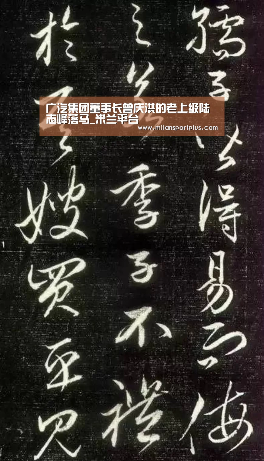 广汽集团董事长曾庆洪的老上级陆志峰落马_米兰平台(图2) 米兰品牌