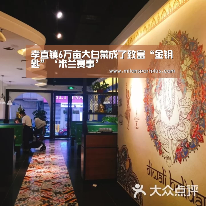 孝直镇6万亩大白菜成了致富“金钥匙”‘米兰赛事’(图2) 米兰品牌
