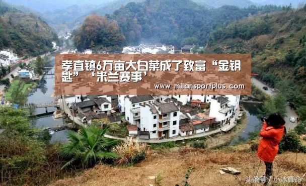 孝直镇6万亩大白菜成了致富“金钥匙”‘米兰赛事’(图3) 米兰赛事
